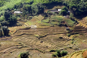 2-Day Trekking Tour in Sa Pa with Homestay by Limousine