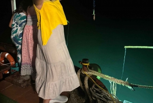 Hanoi: 2-Day Ha Long and Lan Ha Bay Cruise with Kayaking