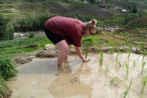 Fra Hanoi: 3-dagers trekking i hjem i Tour Sa Pa