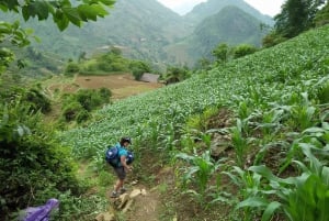 Au départ de Hanoi : 3 jours de trekking chez l'habitant dans la région de Sa Pa