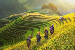 Depuis Hanoi : 3 jours de trekking à Sapa (nuit à l'hôtel et chez l'habitant)