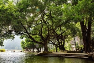 From Hanoi: 4-Day Ninh Binh & Halong Bay Cruise with Balcony