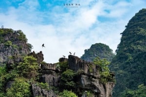 From Hanoi: 4-Day Ninh Binh & Halong Bay Cruise with Balcony