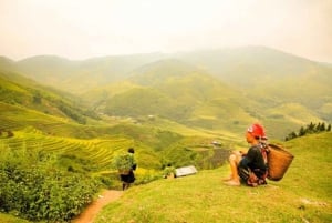 Hanoista: 5 päivän pohjoinen Sapa, Ninh Binh & Halong Bay Tour