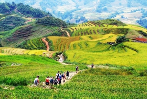 Ab Hanoi: 5-tägige Tour durch den Norden von Sapa, Ninh Binh und die Halong-Bucht