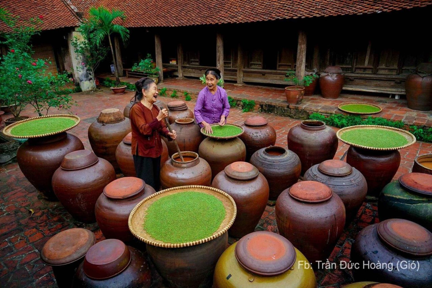 From Hanoi: Duong Lam Village Private Tour In Half Day