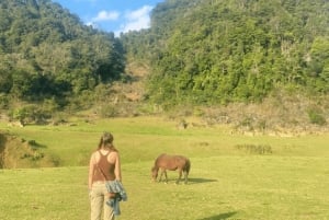 Från Hanoi: Easy Rider 3-dagars motorcykeltur i Cao Bang Loop
