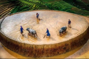 Vanuit Hanoi: ontdek Sapa 2 dagen en 1 nacht met lokale trekking en homestay