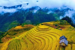 Vanuit Hanoi: ontdek Sapa 2 dagen en 1 nacht met lokale trekking en homestay