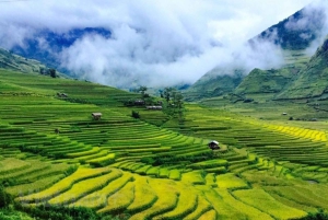 Vanuit Hanoi: ontdek Sapa 2 dagen en 1 nacht met lokale trekking en homestay