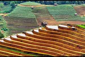 Vanuit Hanoi: ontdek Sapa 2 dagen en 1 nacht met lokale trekking en homestay