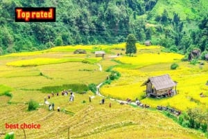 Vanuit Hanoi: ontdek Sapa 2 dagen en 1 nacht met lokale trekking en homestay