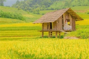 Vanuit Hanoi: ontdek Sapa 2 dagen en 1 nacht met lokale trekking en homestay