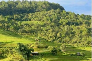Vanuit Hanoi: ontdek Sapa 2 dagen en 1 nacht met lokale trekking en homestay