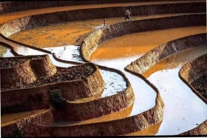 Vanuit Hanoi: ontdek Sapa 2 dagen en 1 nacht met lokale trekking en homestay