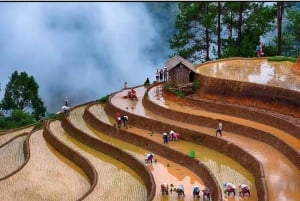 Vanuit Hanoi: ontdek Sapa 2 dagen en 1 nacht met lokale trekking en homestay