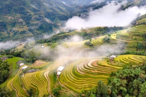 Från Hanoi: Utforska Sapa och berget Fansipan i 2 dagar