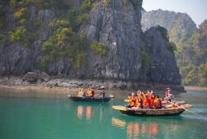 From Hanoi: Full-Day Ha Long Bay Trip with Seafood Lunch