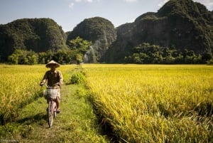 Ninh Binh Tour: Full-Day Hoa Lu and Tam Coc Boat Tour