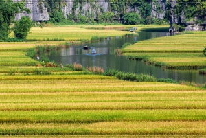 Ninh Binh Tour: Full-Day Hoa Lu and Tam Coc Boat Tour
