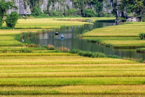 Ninh Binh Tour: Full-Day Hoa Lu and Tam Coc Boat Tour