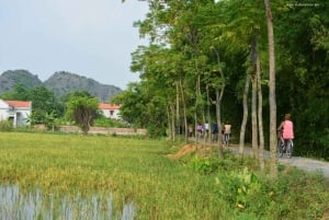 Au départ de Hanoi : visite d'une jounée en petit groupe des hauts lieux de Ninh Binh
