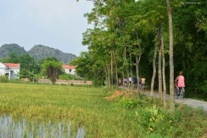 From Hanoi: Full-Day Ninh Binh Highlights Small Group Tour