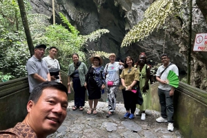 Da Hanoi: Tour di gruppo della Pagoda dei Profumi di una giornata intera con pranzo