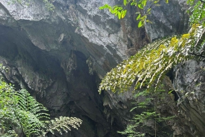 Da Hanoi: Tour di gruppo della Pagoda dei Profumi di una giornata intera con pranzo