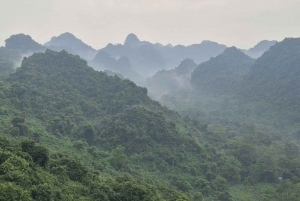 Au départ de Hanoi : Visite d'une jounée de la pagode des Parfums en groupe avec déjeuner