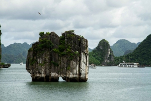 From Hanoi: Full-Day Visit to Halong Bay