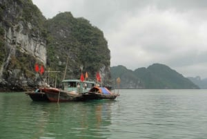 From Hanoi: Full-Day Visit to Halong Bay