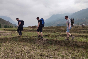 From Hanoi: Guided 2-Day Tour of Sa Pa with Lunch & Dinner
