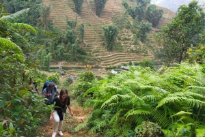 From Hanoi: Guided 2-Day Tour of Sa Pa with Lunch & Dinner