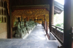 From Hanoi: Ninh Binh, Trang An, Bai Dinh, and Mua Cave Trip