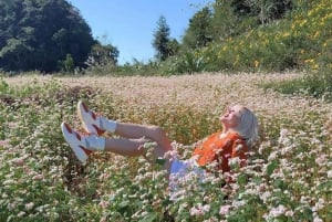 Fra Hanoi: Ha Giang 3-dagers 2-netters kveldstur med limousin