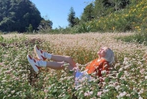 From Hanoi: Ha Giang 3-Days 2 nights Tour With Limousine