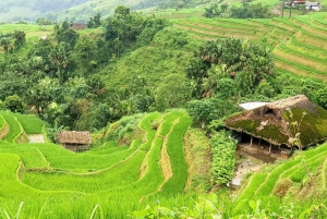 From Hanoi: Ha Giang Guided 3-Day Trip