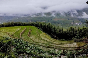 From Hanoi: Ha Giang Guided 3-Day Trip