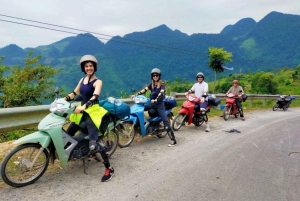 Z Hanoi: Pętla Ha Giang 4D3N / Wycieczka motocyklowa / Samodzielna jazda