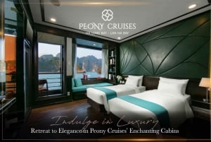 From Hanoi: Ha Long Bay & Lan Ha Bay 3D2N Tour|Luxury Cruise