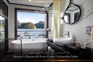 From Hanoi: Ha Long Bay & Lan Ha Bay 3D2N Tour|Luxury Cruise