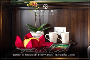 From Hanoi: Ha Long Bay & Lan Ha Bay 3D2N Tour|Luxury Cruise