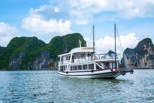 From Hanoi: Ha Long Bay and Ti Top Island Cruise with Stops