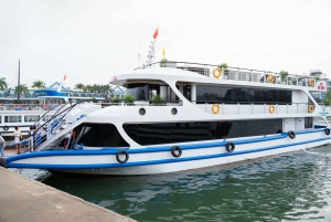 From Hanoi: Ha Long Bay Luxury Cruise Day Tour with Jacuzzi