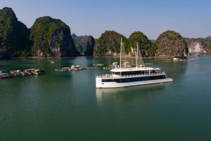 Fra Hanoi: Halong Bay 1-dags Jadesails luksuscruise i Halong Bay