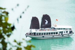 From Hanoi: Halong Bay Day Cruise with Cave Exploration