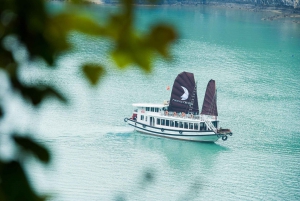 From Hanoi: Halong Bay Day Cruise with Cave Exploration