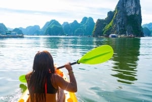 Från Hanoi: Halong Bay dagstur med lunch och transfer