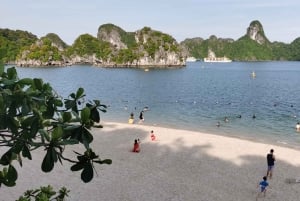 Från Hanoi: Halong Bay dagstur med lunch och transfer